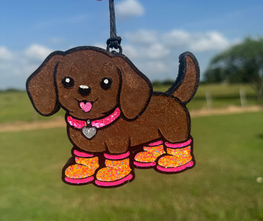 Weinee Dog with Rain boots