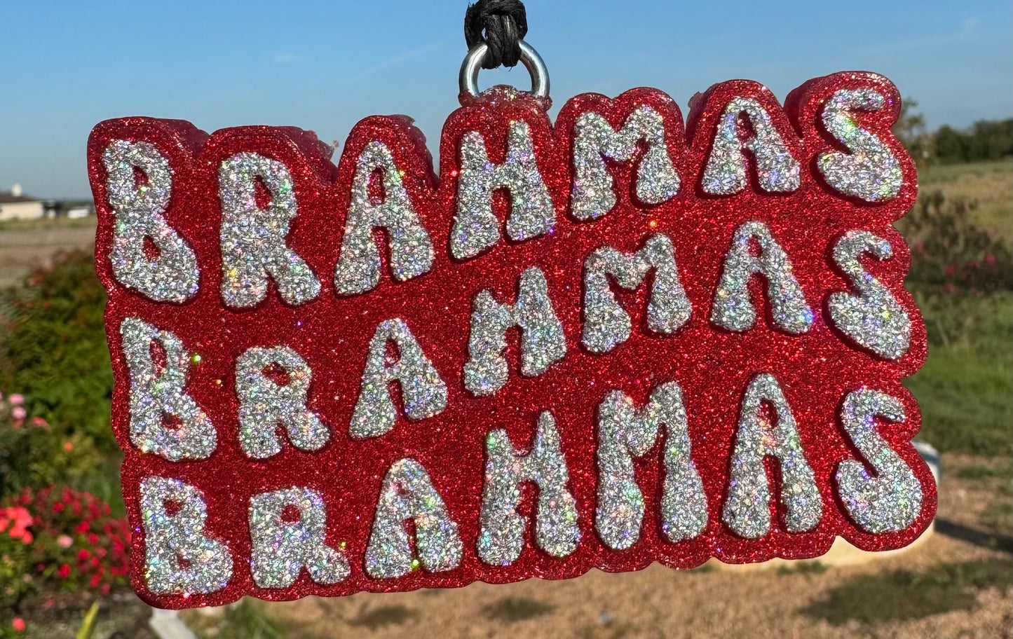 Bellville Brahmas