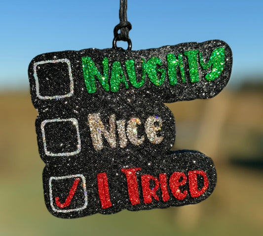 Naughty & Nice  Christmas Checklist