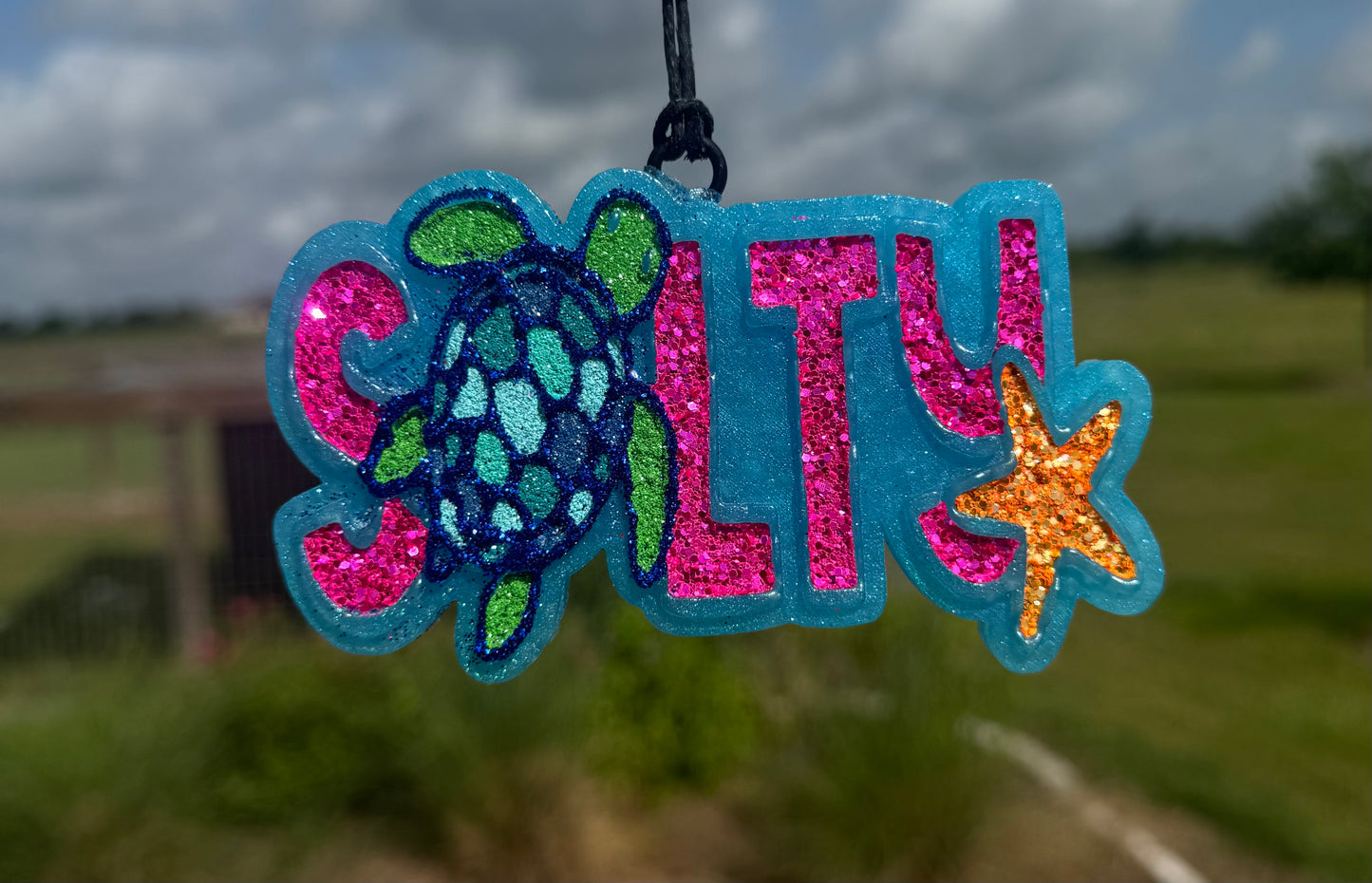 Salty Sea Turtle