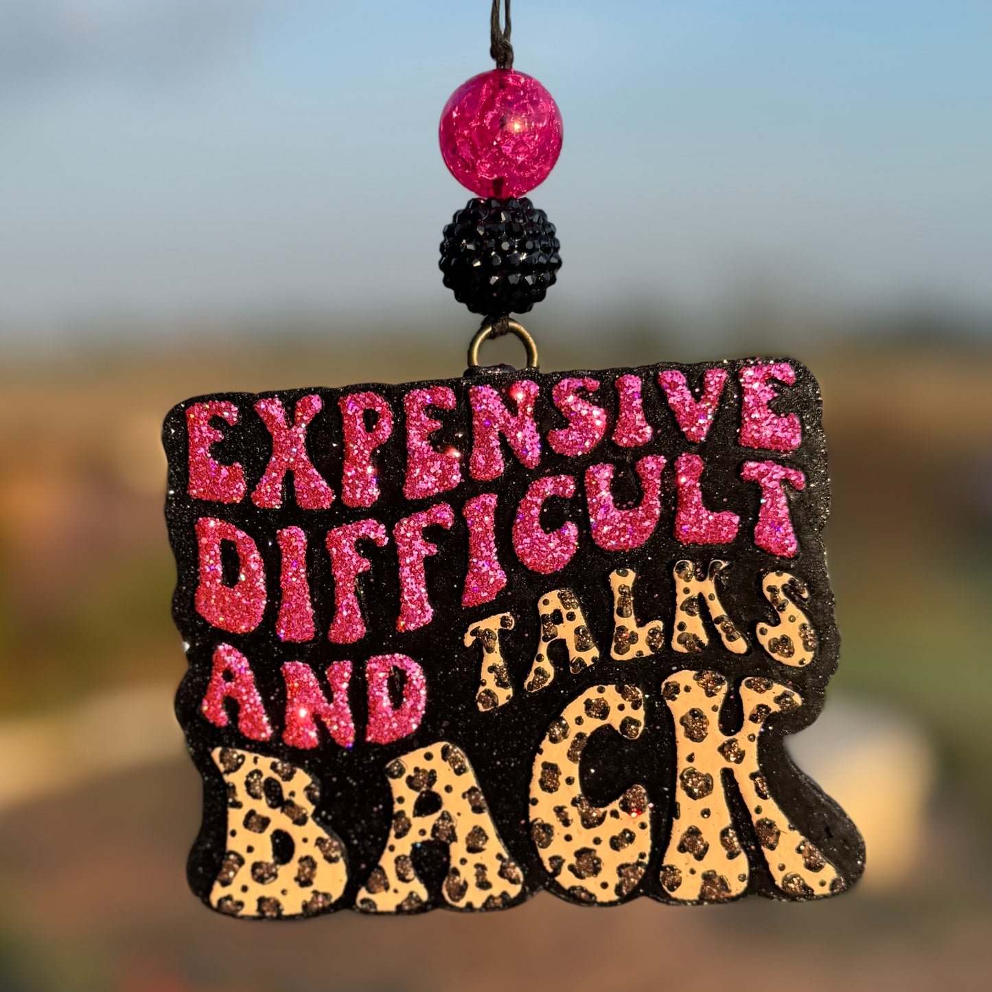 Expensive Difficult & Talks Back