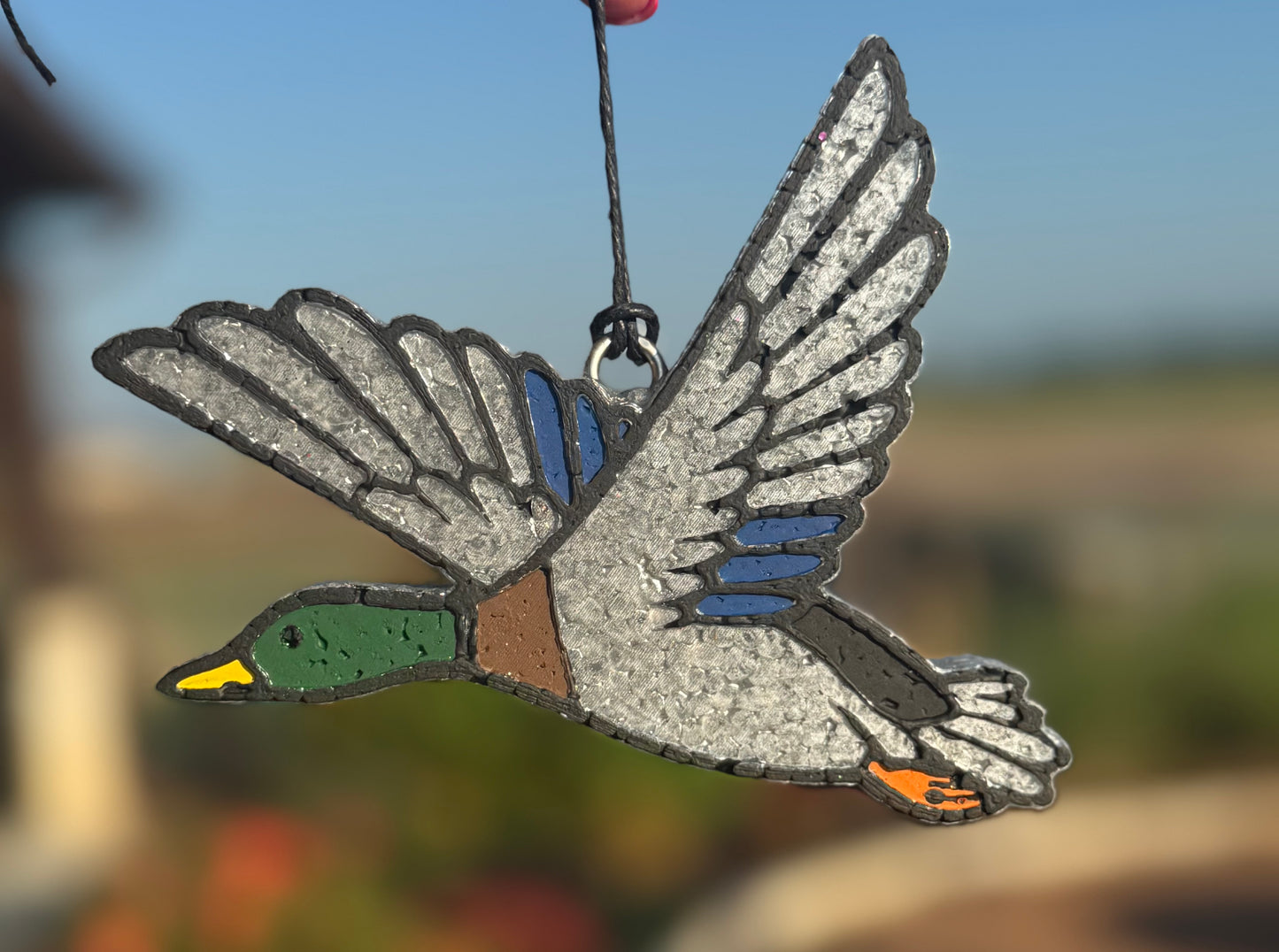 Mallard Duck