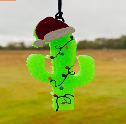 Christmas Cactus