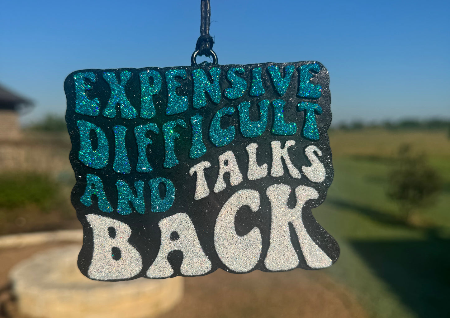 Expensive Difficult & Talks Back