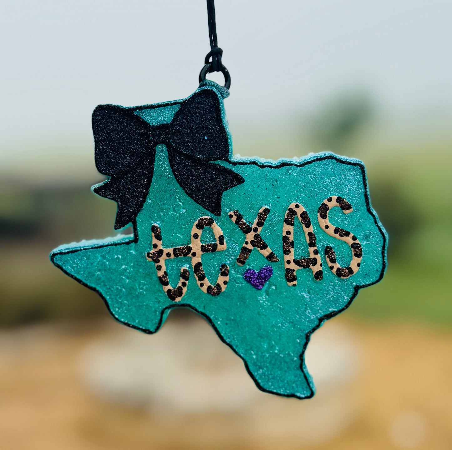 Texas with Bow and words