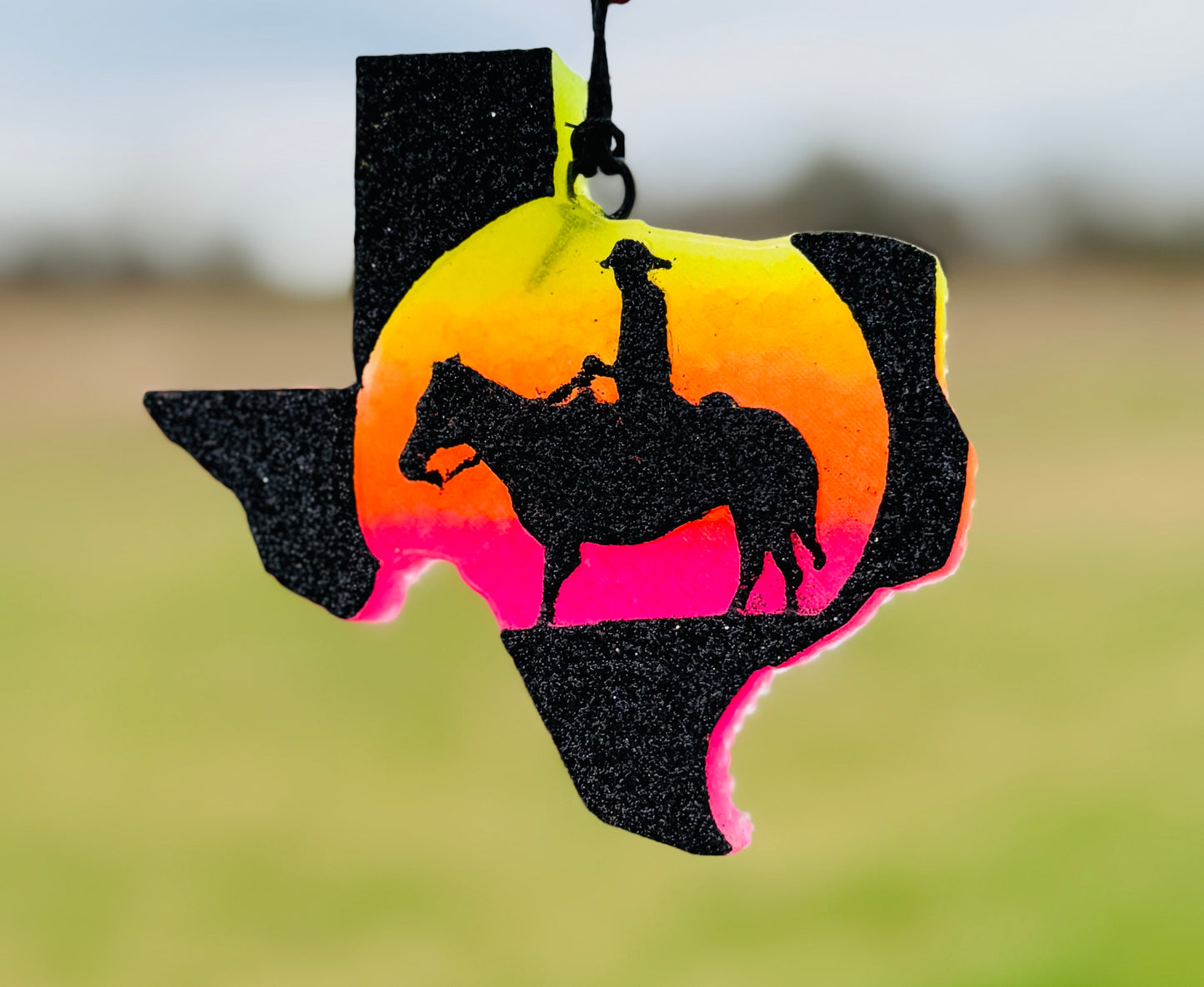 Cowboy in Texas