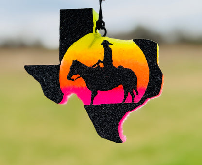 Cowboy in Texas