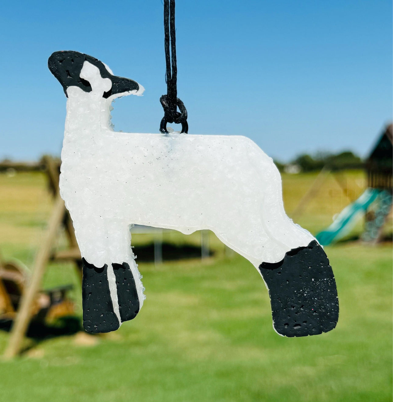 Show Lamb