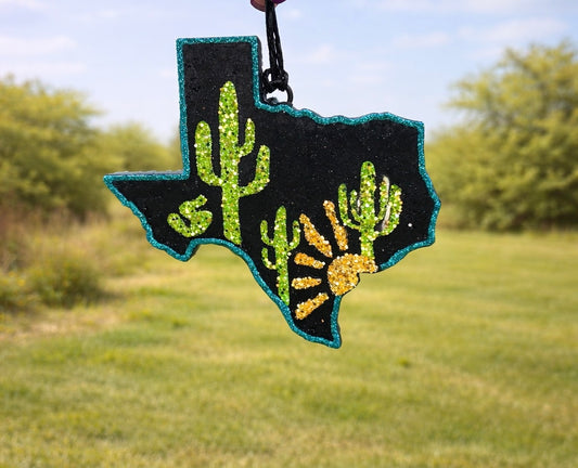 Texas with Cactus