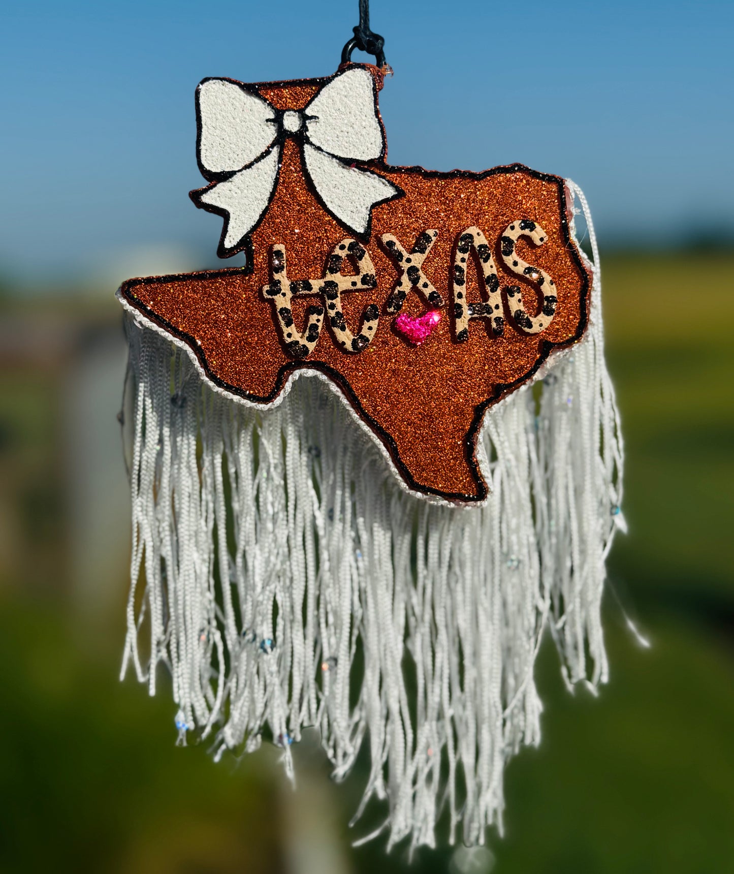 Texas with Bow and words