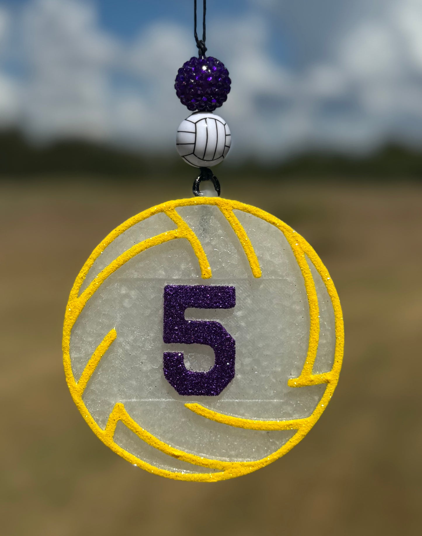 Volleyball with Customizable Jersey Number