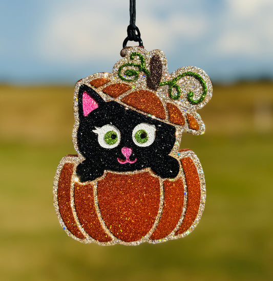 Cat in Pumpkin