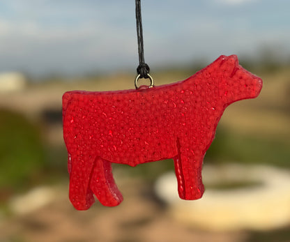 Show Steer