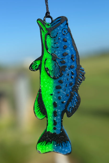 Bass fish