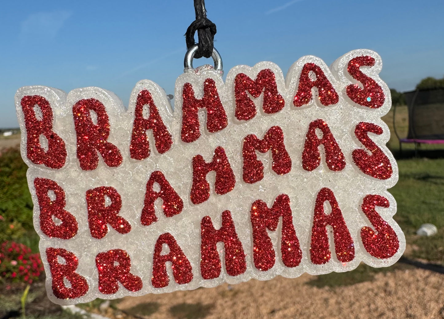 Bellville Brahmas