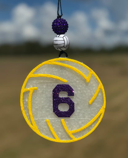 Volleyball with Customizable Jersey Number