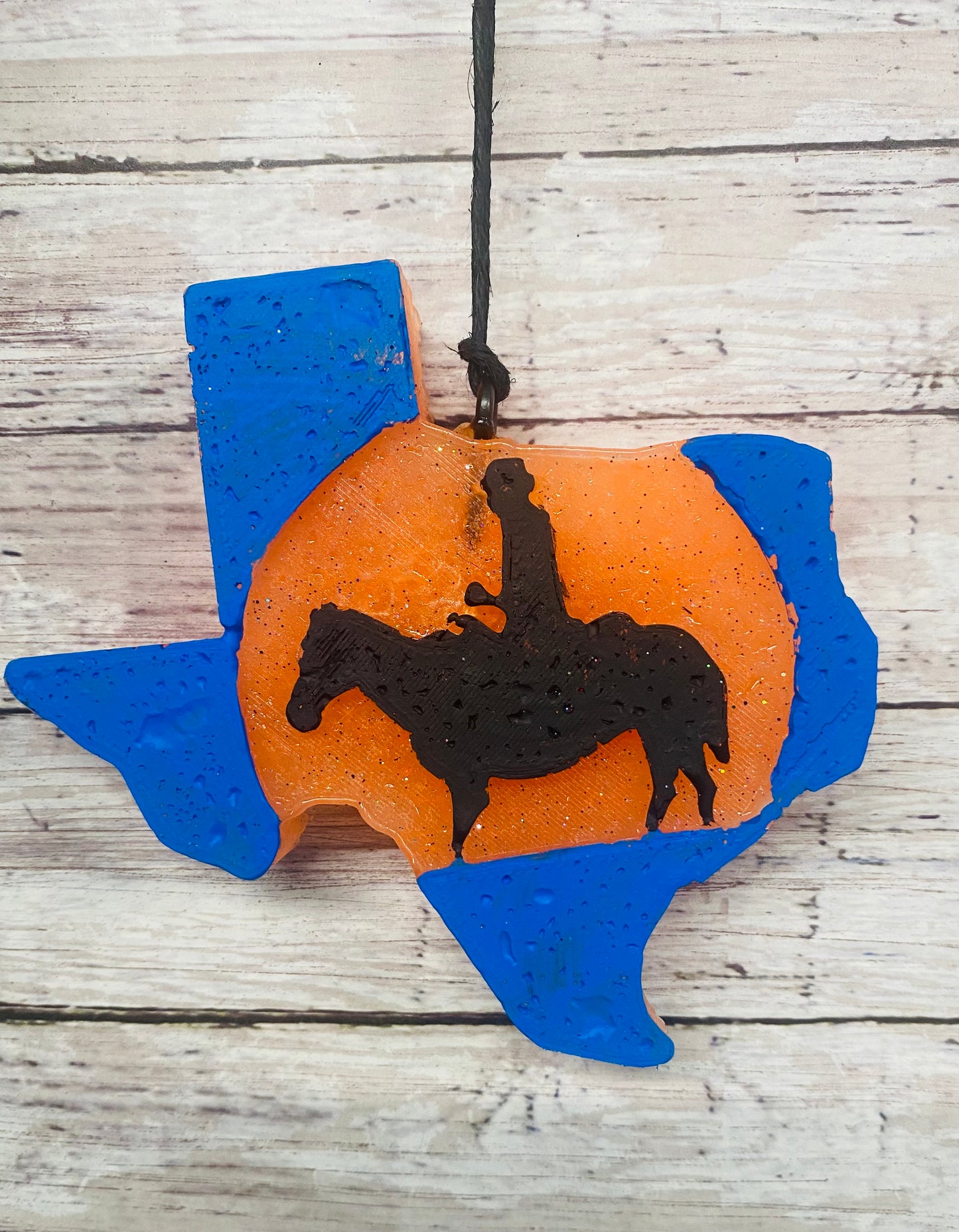 Cowboy in Texas